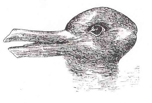 duck_rabbit_illusion
